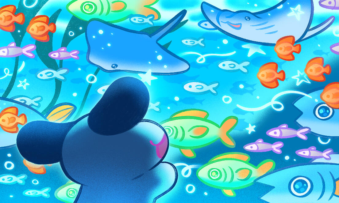 Bean & The Aquarium